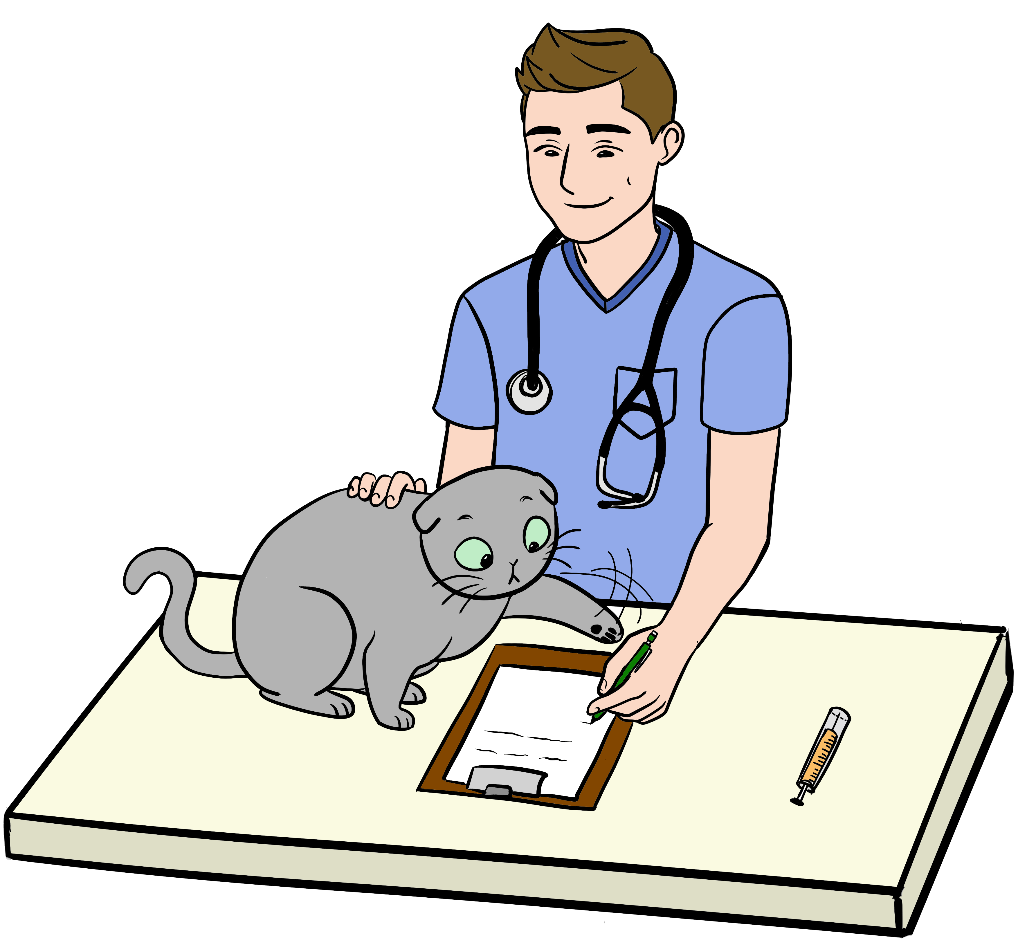 Dr Evan examining Bella the cat